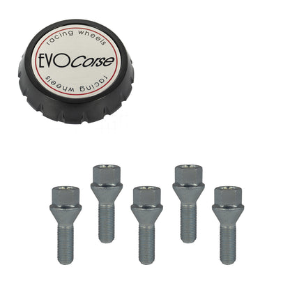 Evo Corse Wheel Fitting Kit - Extended (Per Wheel)