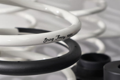 Close up view of a white coil spring with a black protective cover, string theory etched into the surface with two white coil springs & two black mounts faded in the background